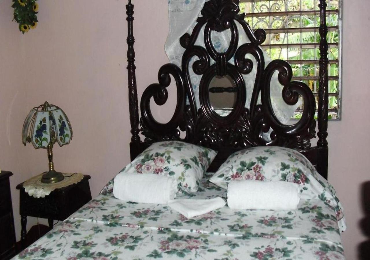 Kingston Airport Bed And Breakfast Zewnętrze zdjęcie